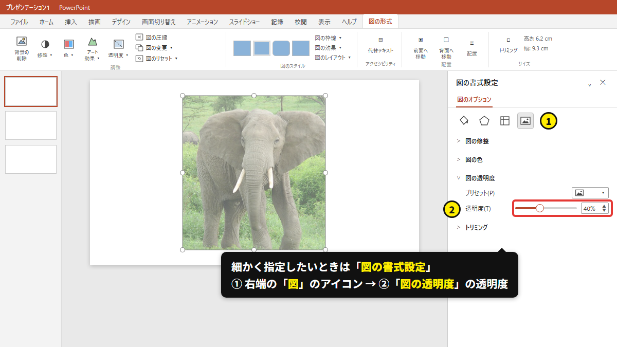 図の書式設定 → 図 → 図の透明度